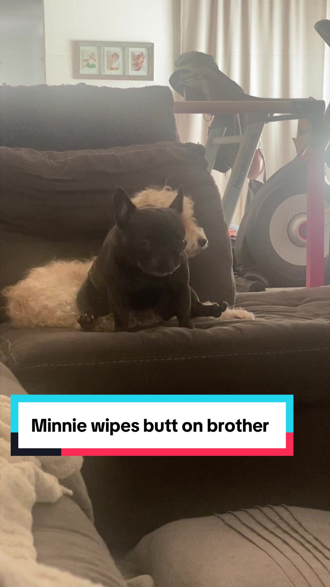 @minniecantalk