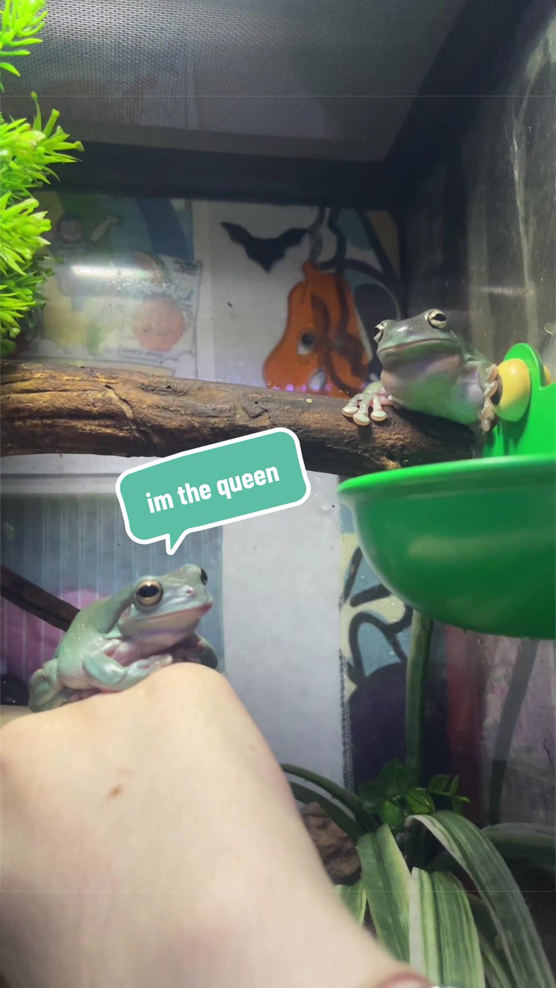 @☽𝗠𝗮𝗿𝘀☾