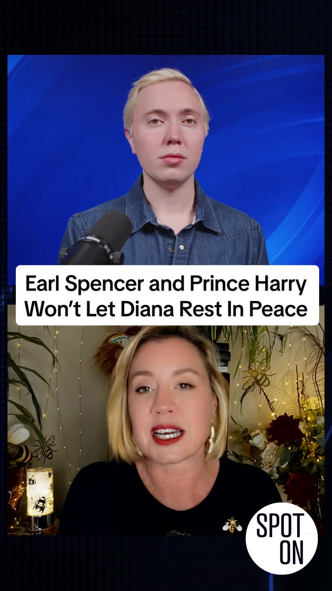 @Spot On with Link Lauren