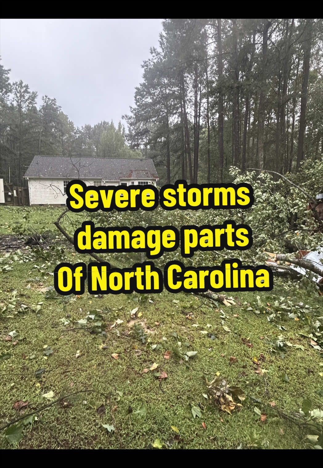 @WRAL_michaels
