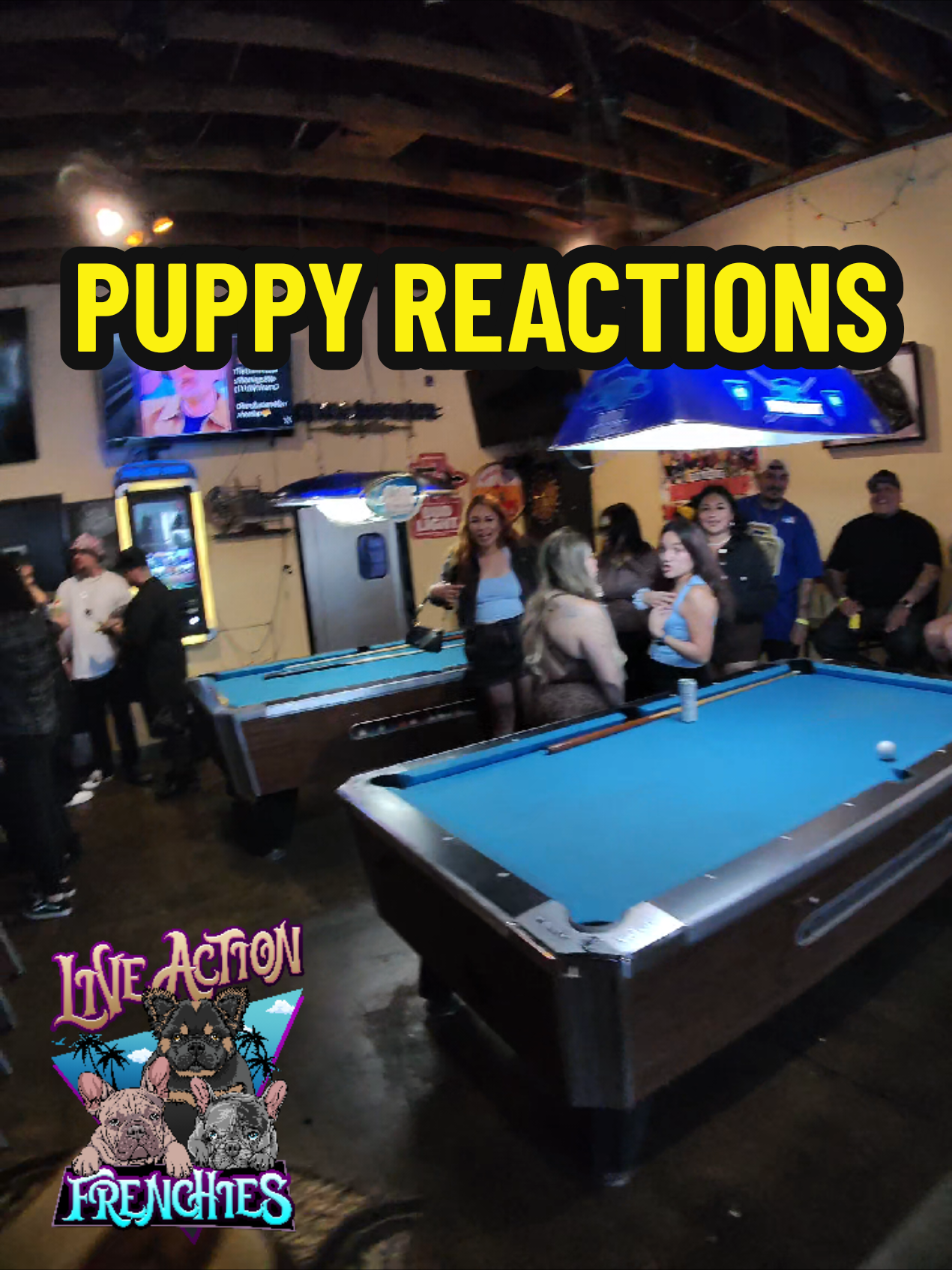 @Live Action Hype Shop