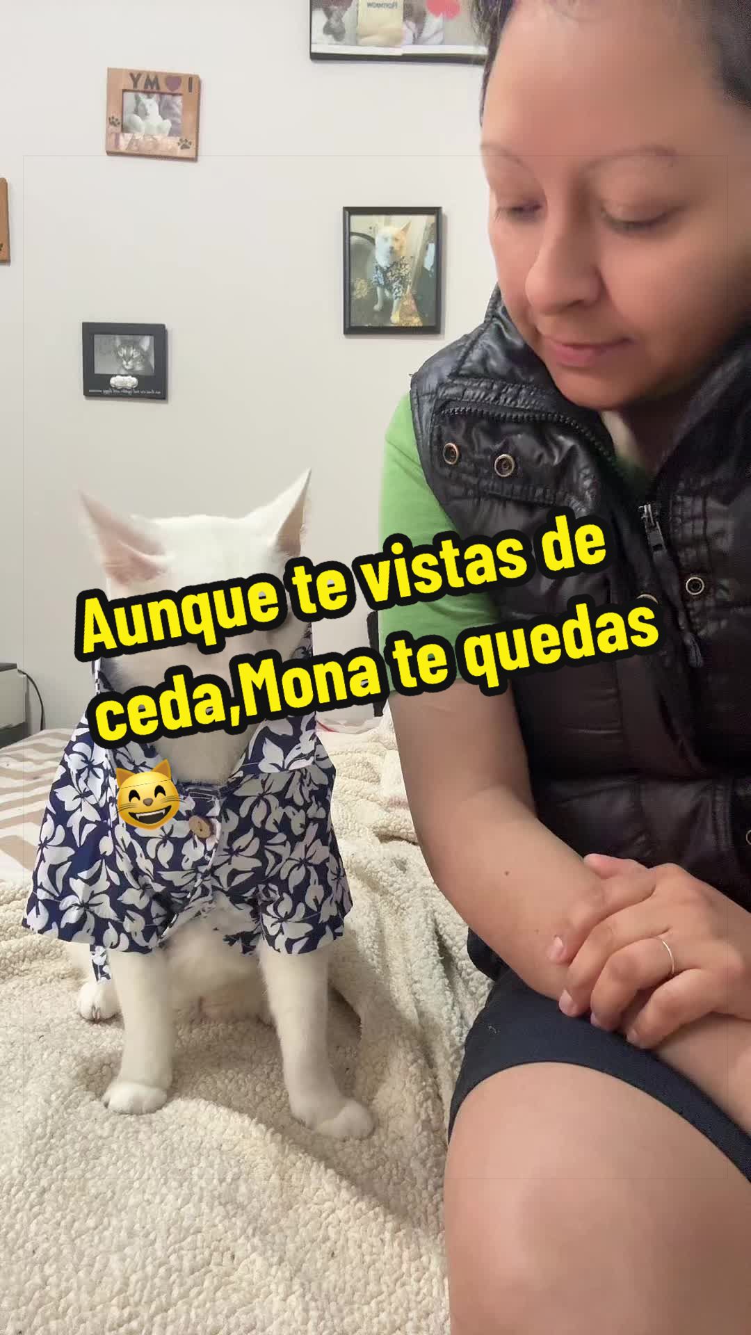 @🦖 MEOWassic CAT😺