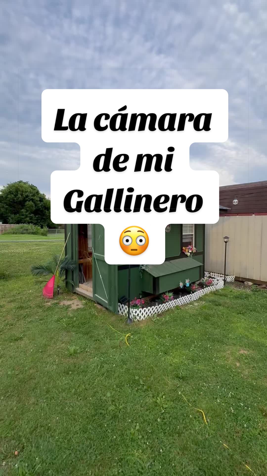 @Elianne Martinez