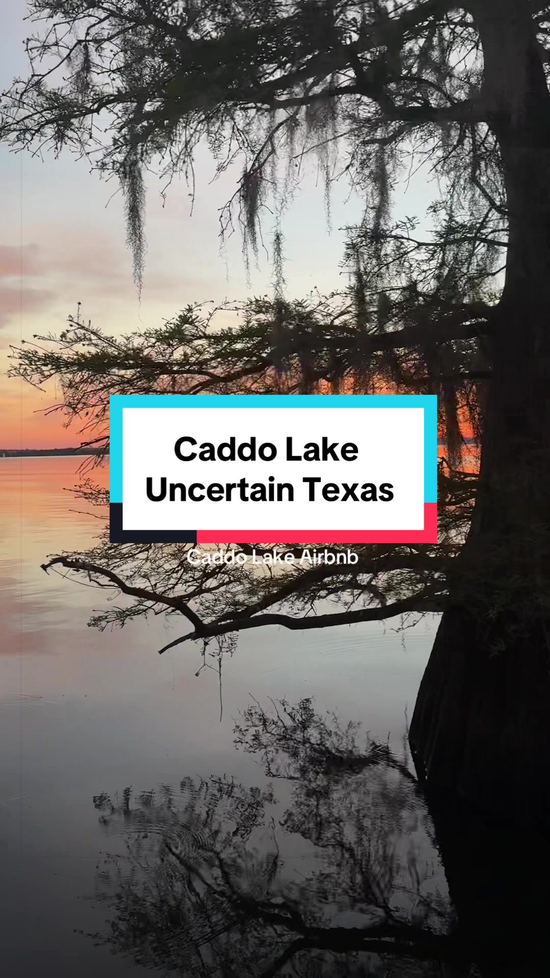@Caddo Lake FirstCastCabin