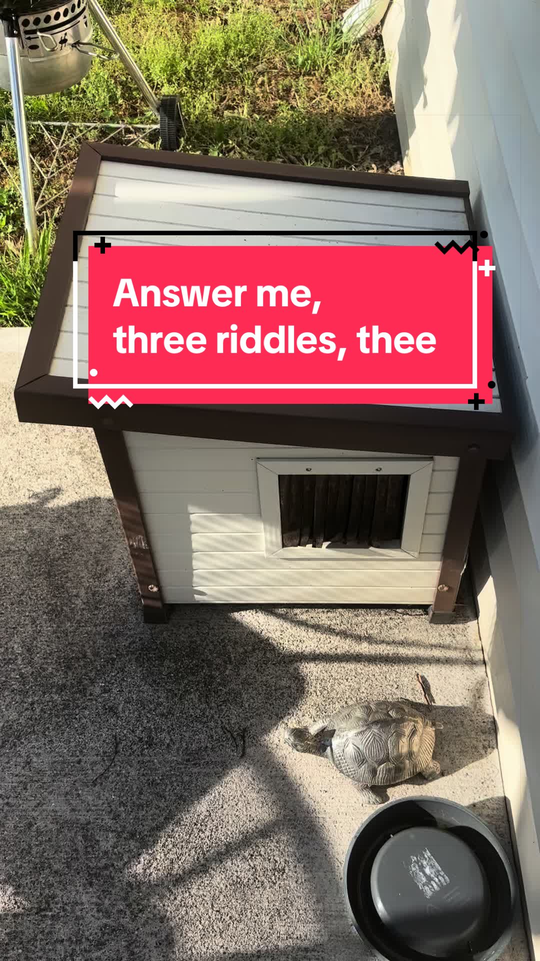 @Christina | Cat Rescue 🐾
