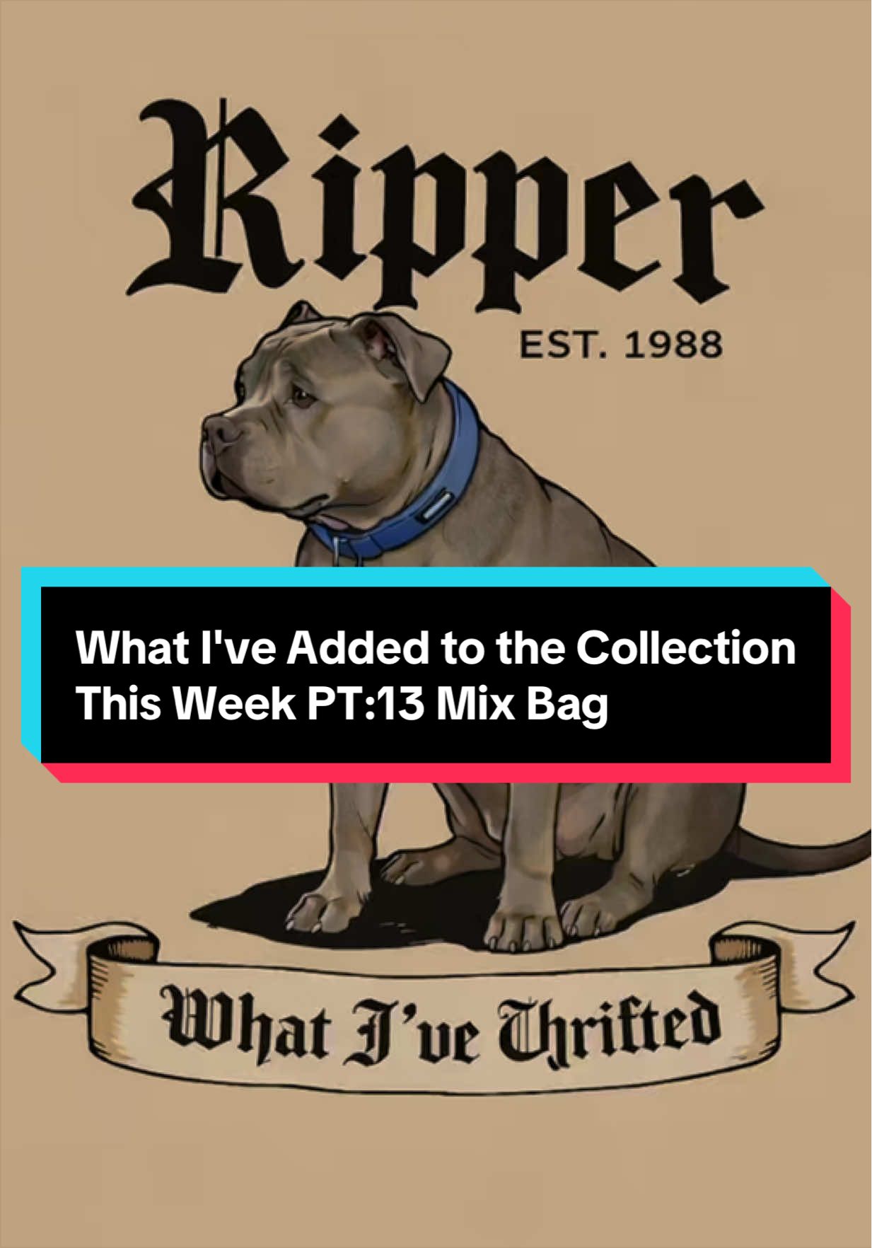 @ℜ𝔦𝔭𝔭𝔢𝔯ℜ𝔦𝔭𝔰