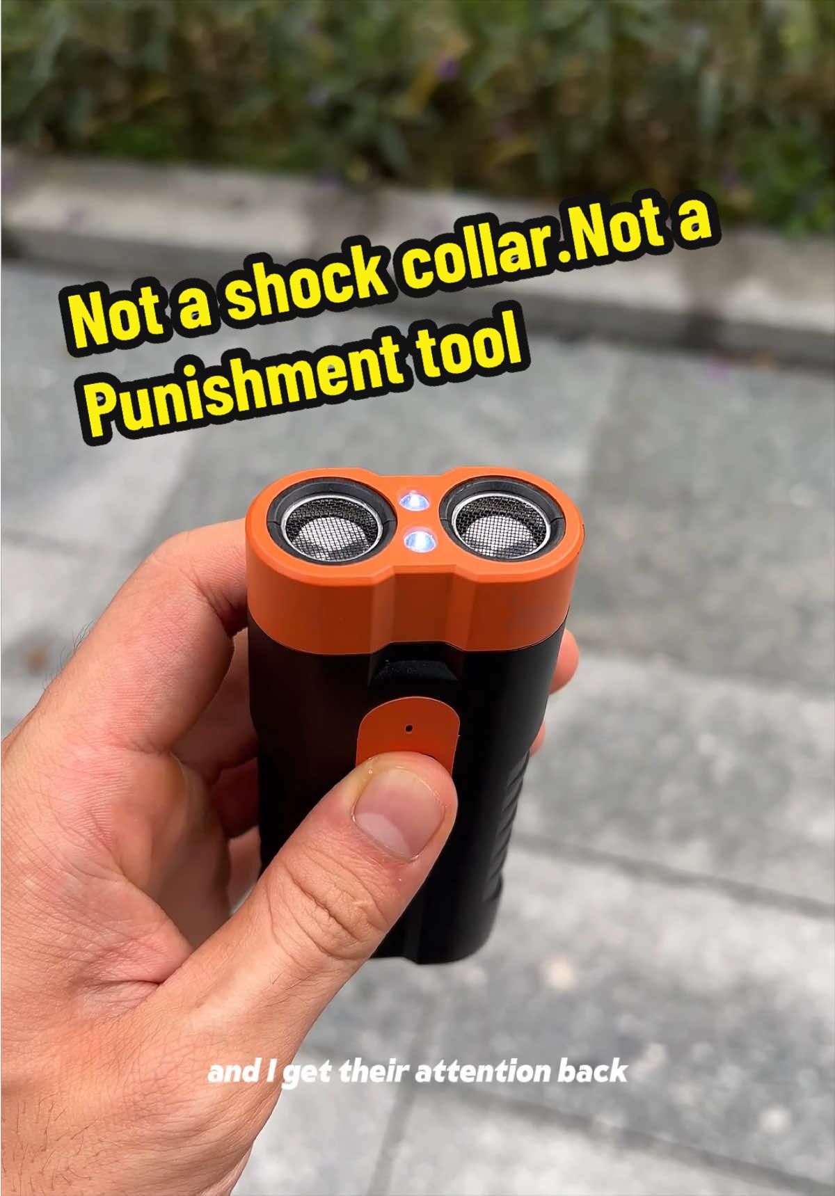 @pawpawchum