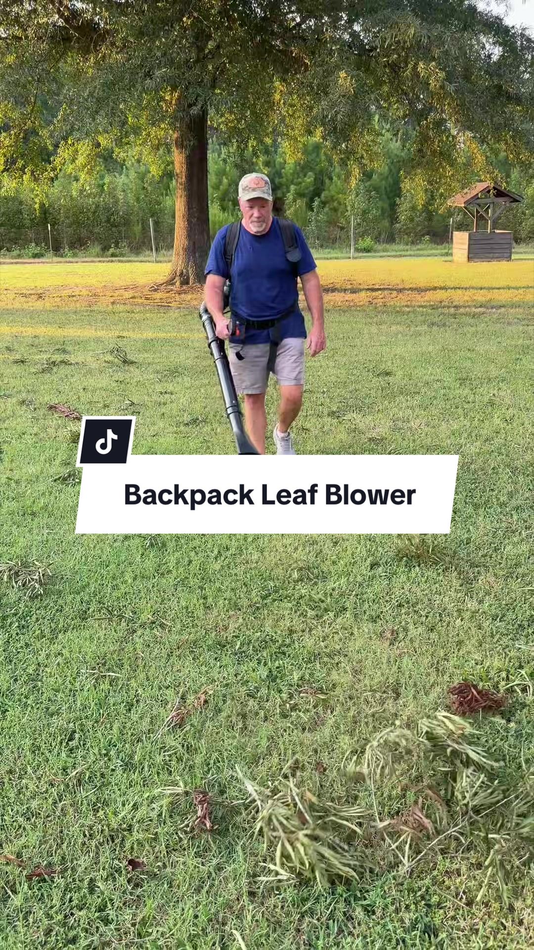@little_mike_1