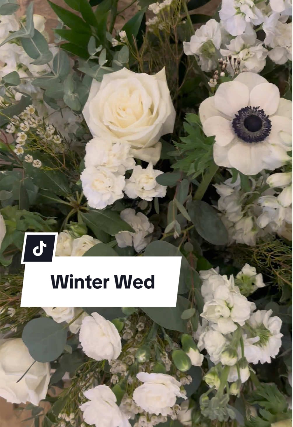@Willow & Ivy Design