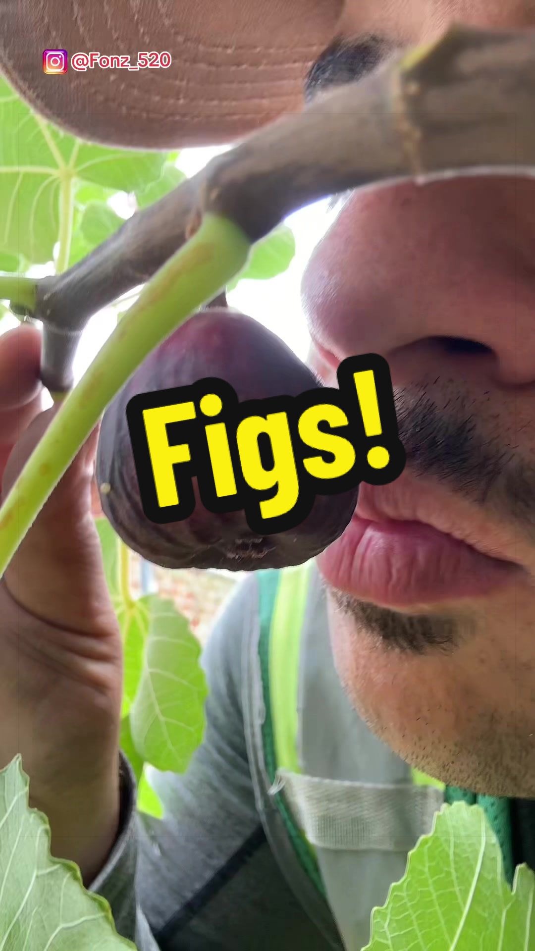 @Fonztradamus