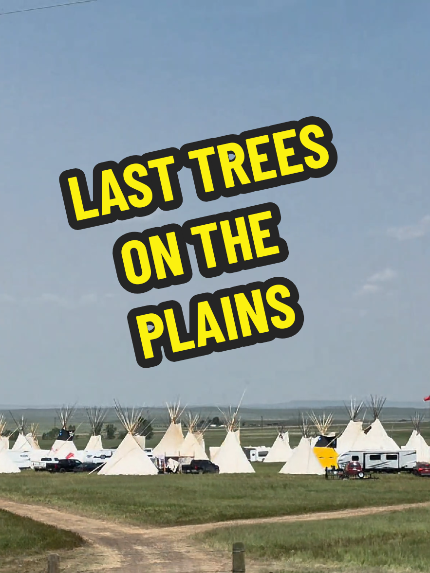 @1HANDNFARMING 🦾🌾🐂🚜