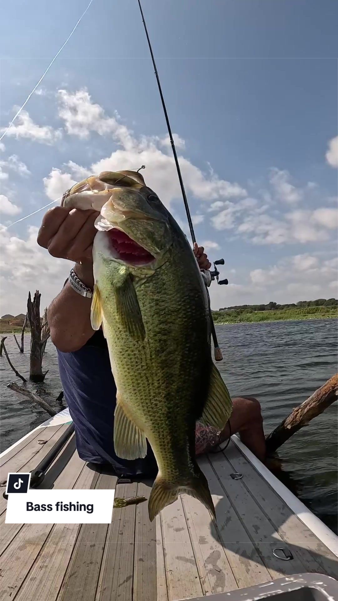@Lunkerhunter🪵