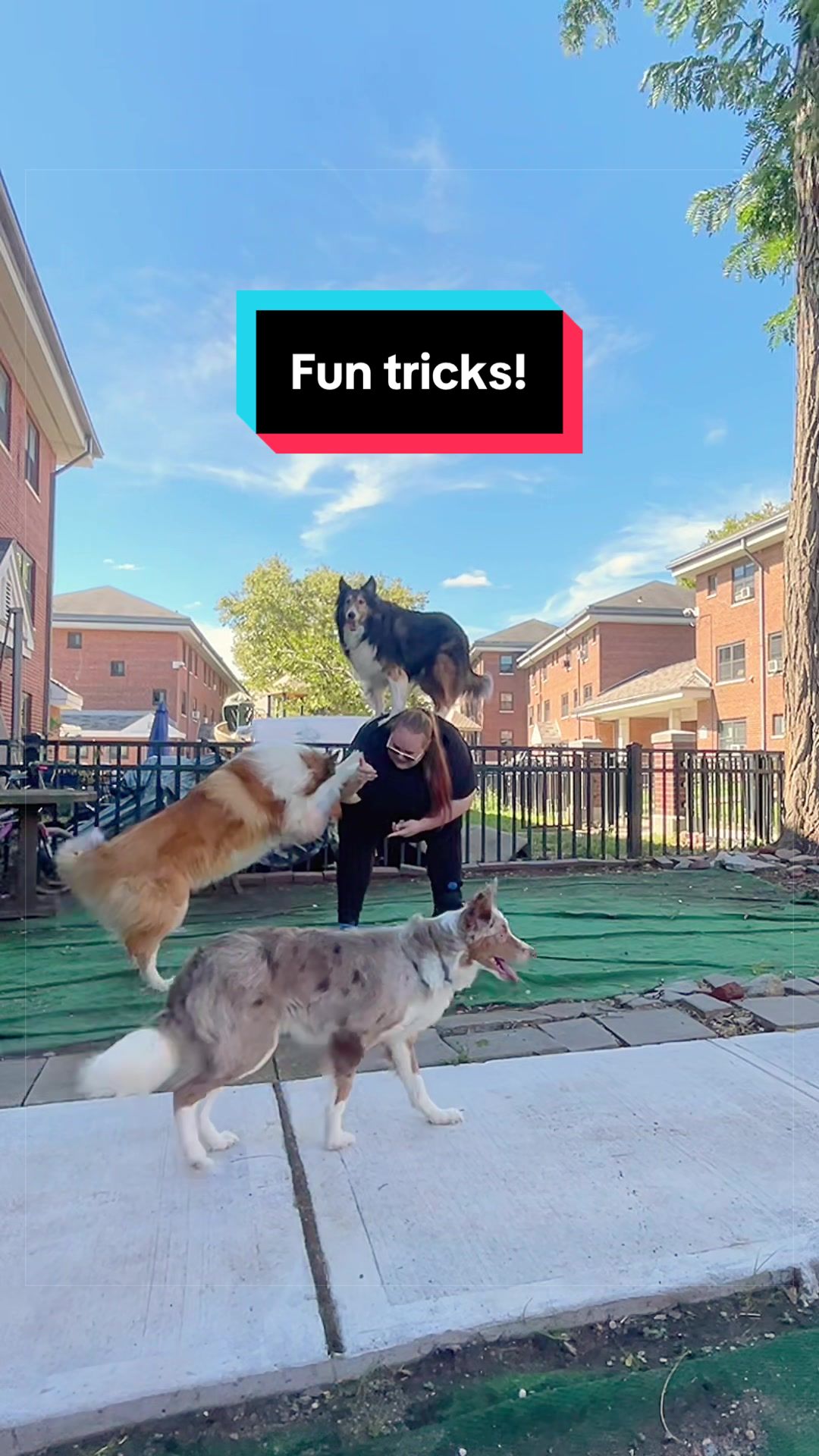 @Dakota & Pups