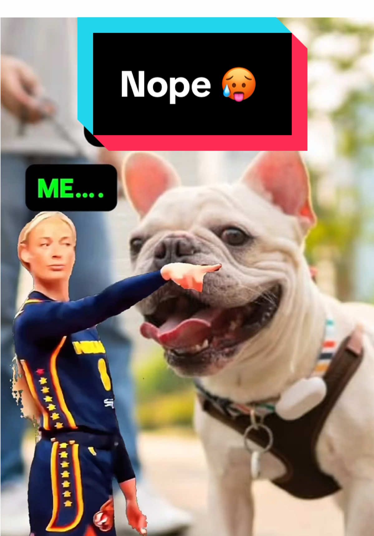 @dr.adam_christman_Veterinarian