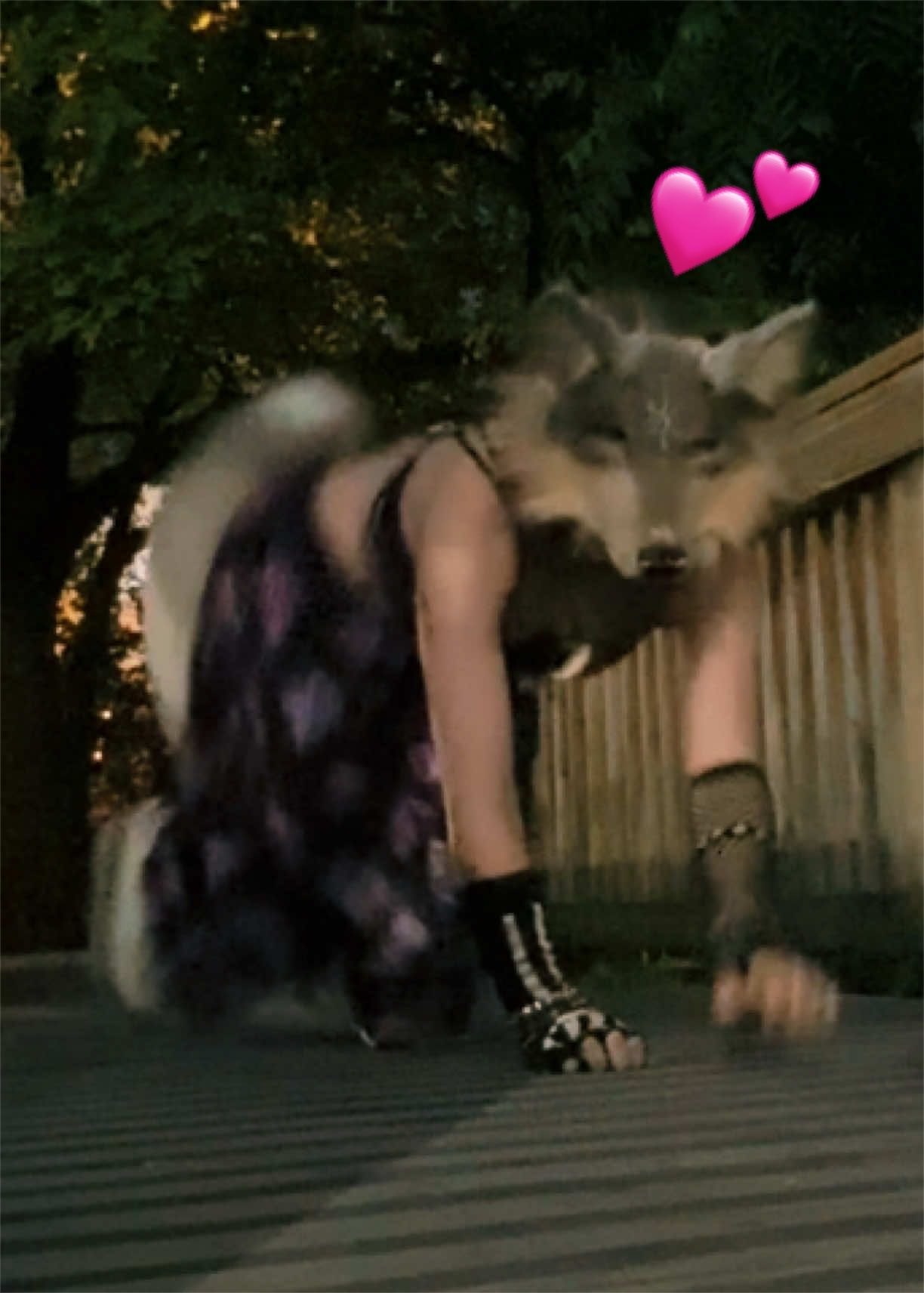 @🦴🌱~Dakota~🌱🦴