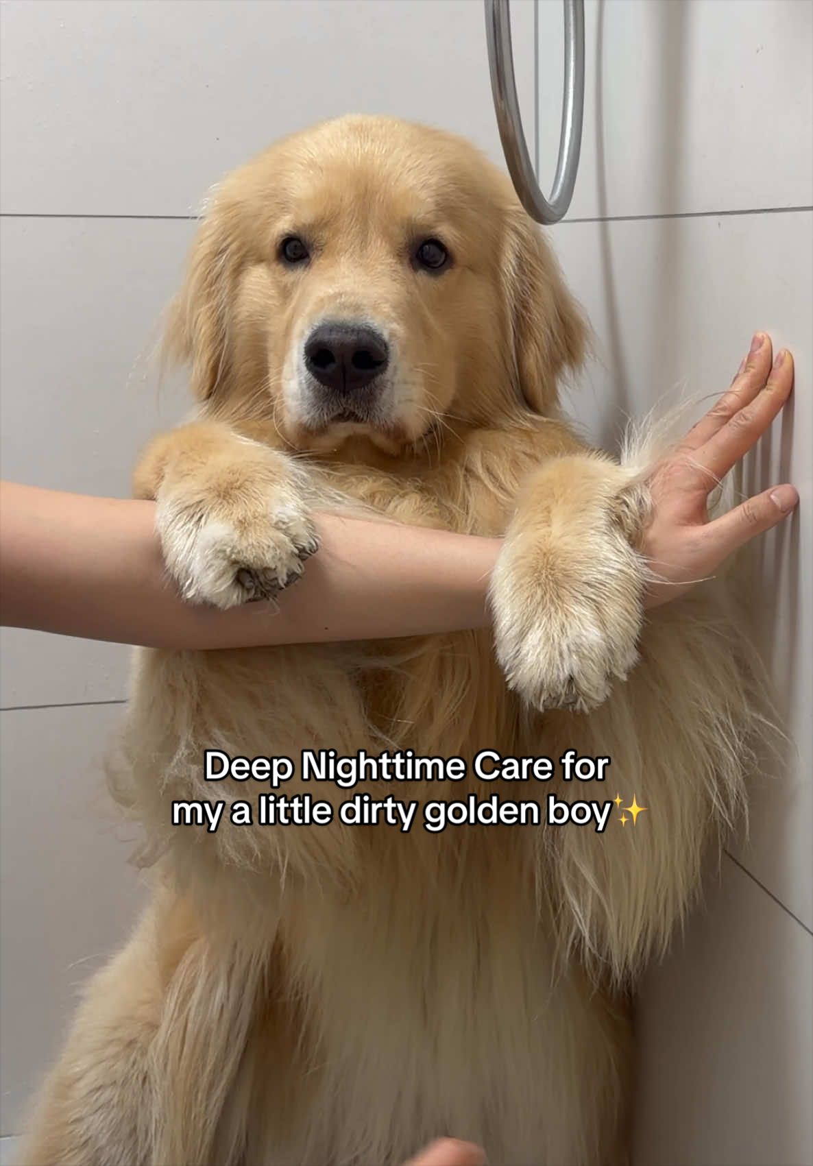 @Golden Fur Bender