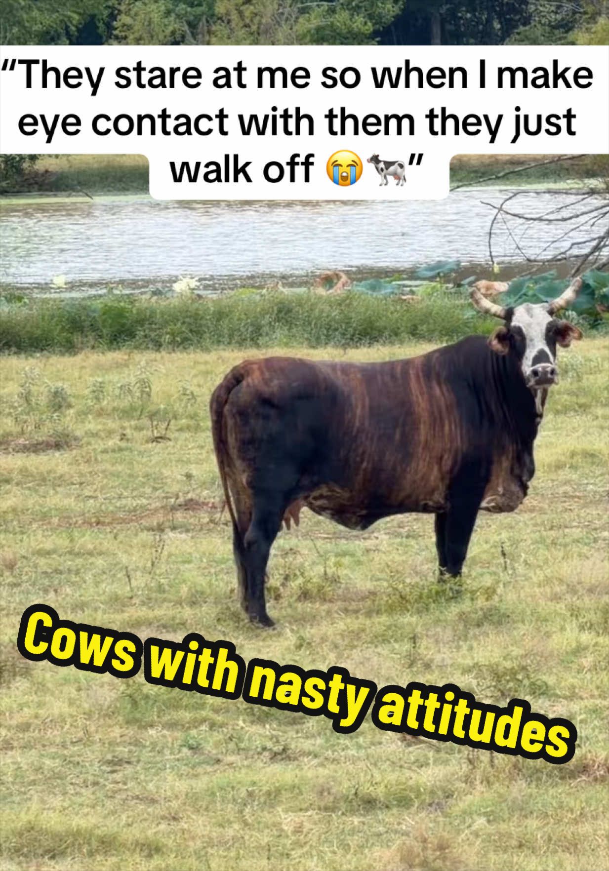 @bossdvincii