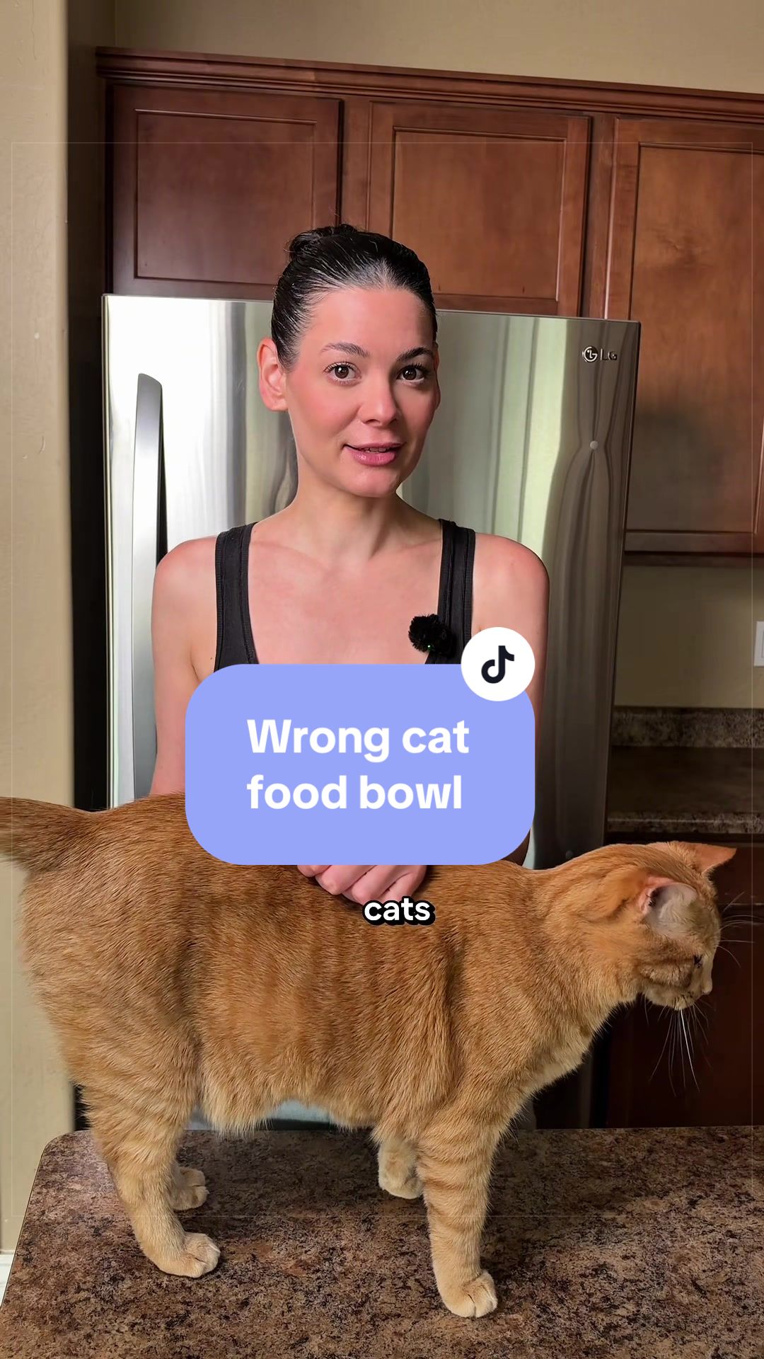 @Feminist Kitty | Cat Nutrition