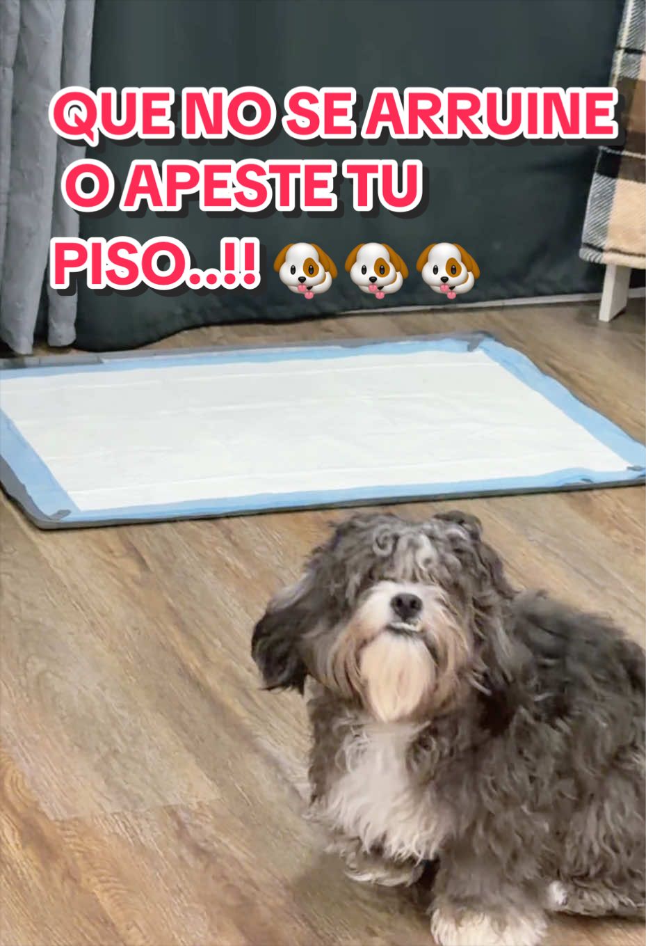 @Laclau
