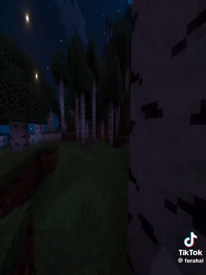 @🪼