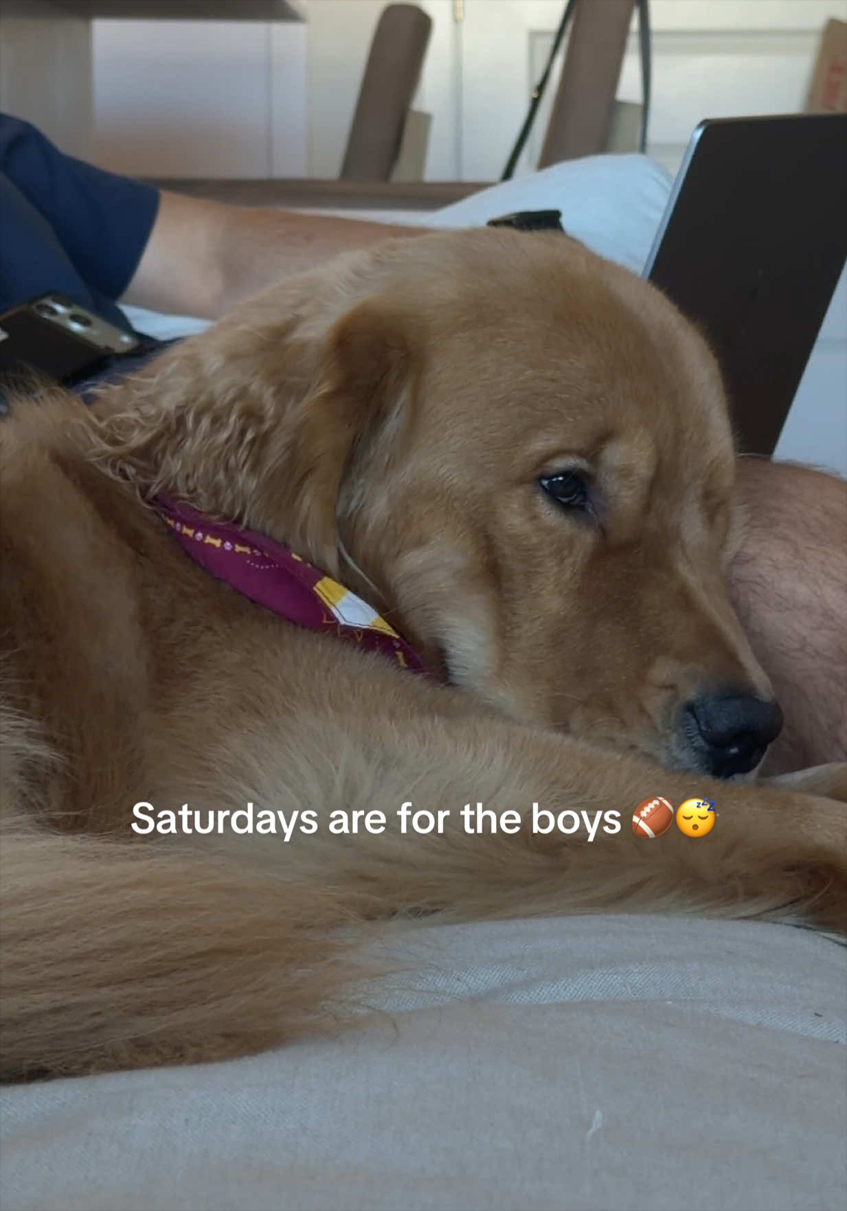 @Romeo the Retriever