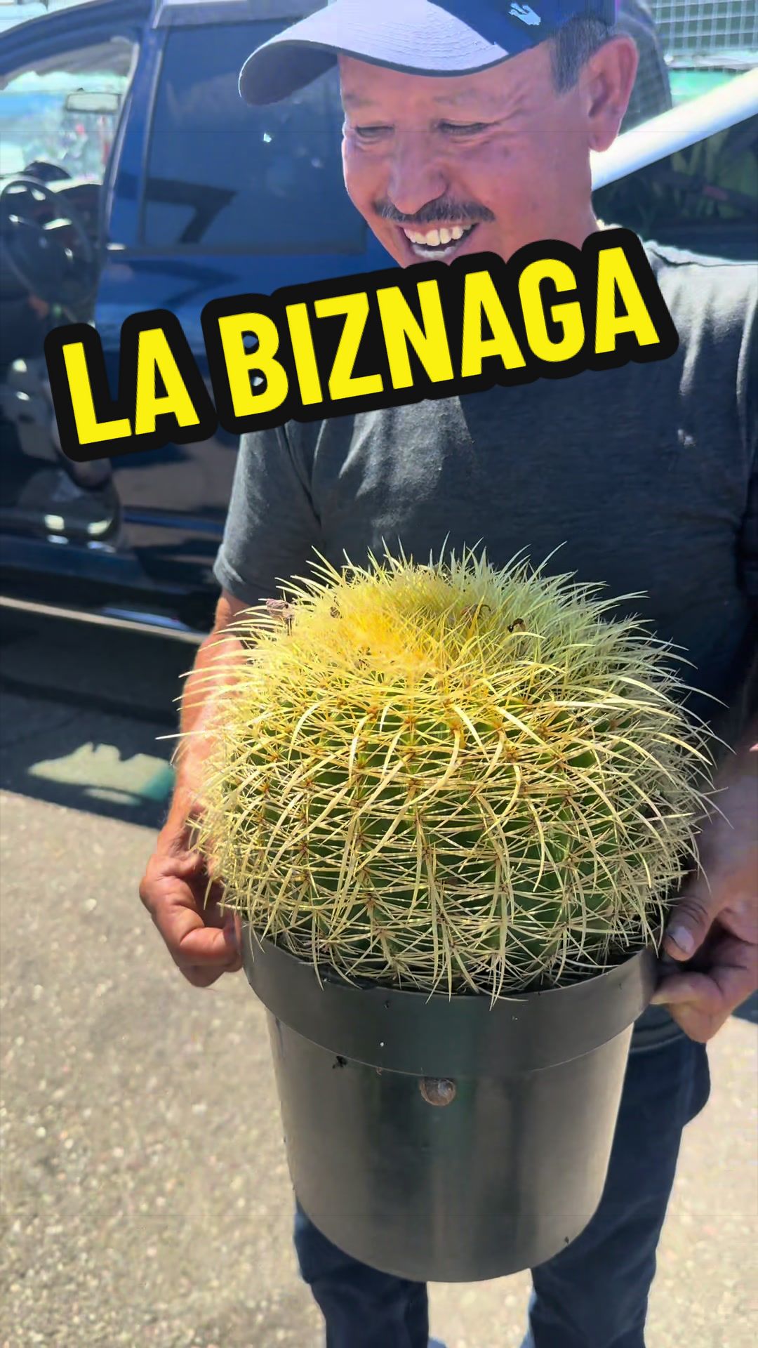@Los Hernández