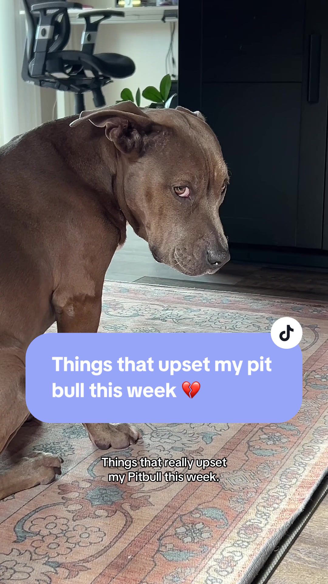 @Cali the Pit