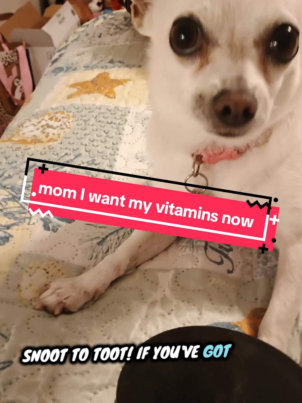 @DawnTxnFlCowgrl⛱️Gen❌