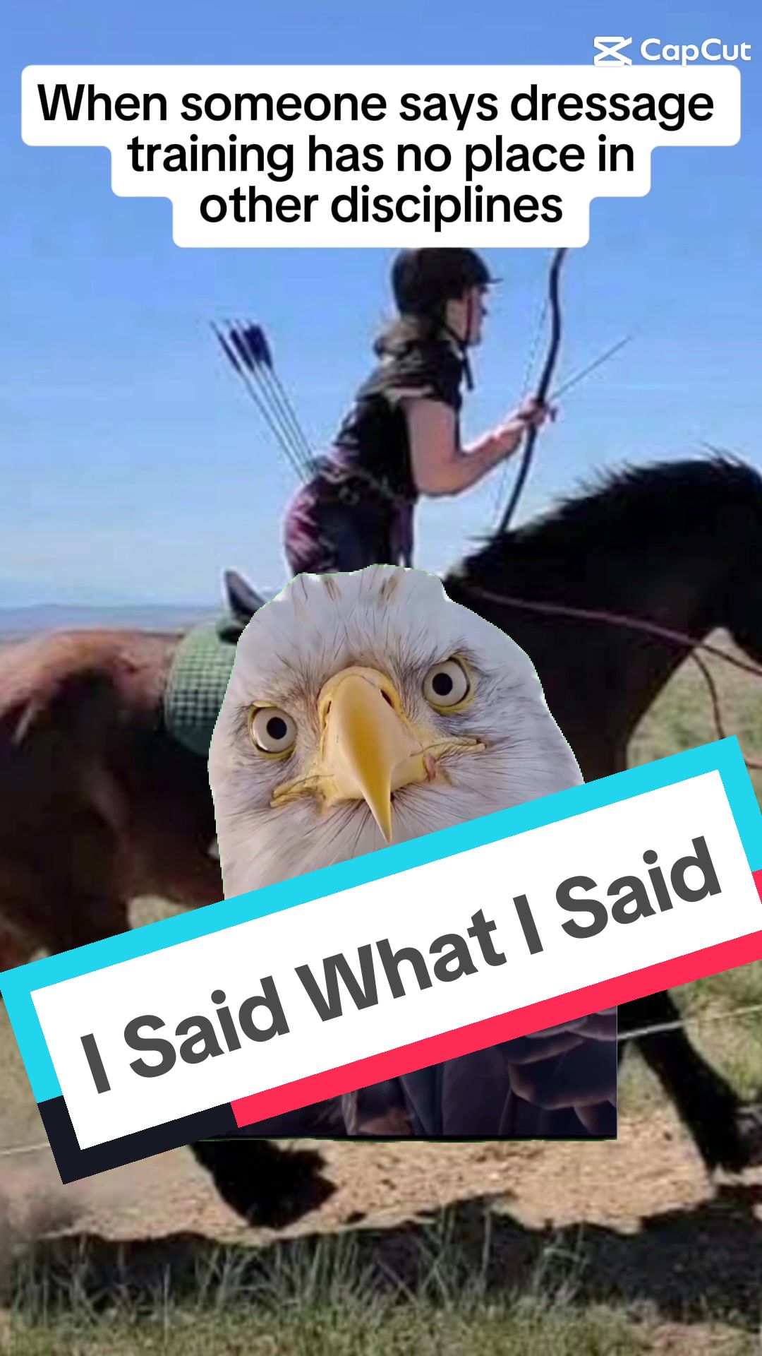@Stacey Balanced Rider