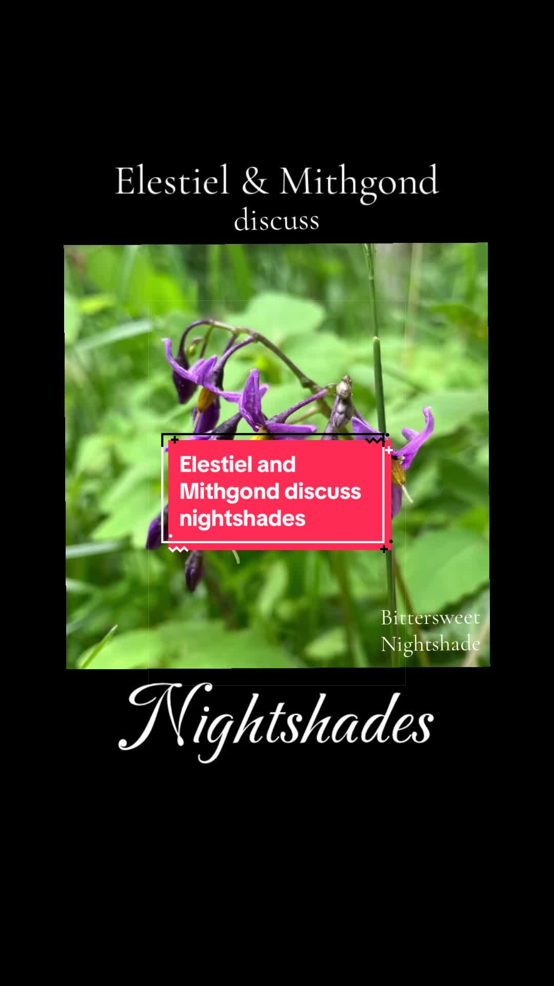 @Mithgond ᚠ