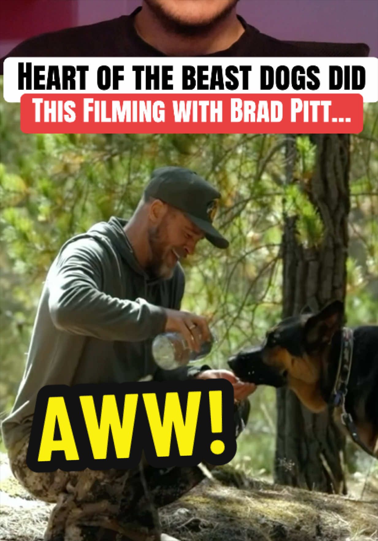 @moviefactspro