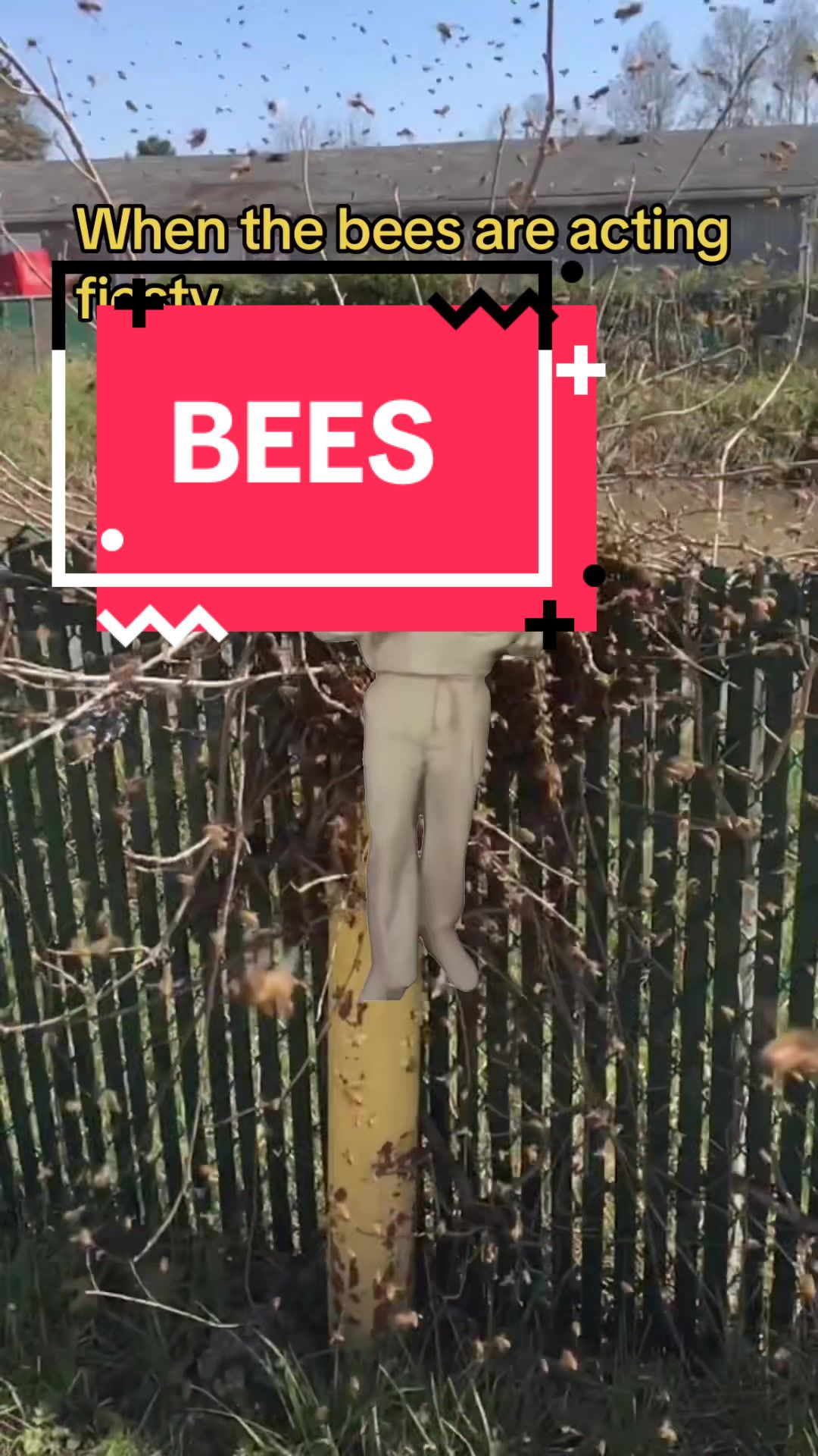 @DoctorBugz