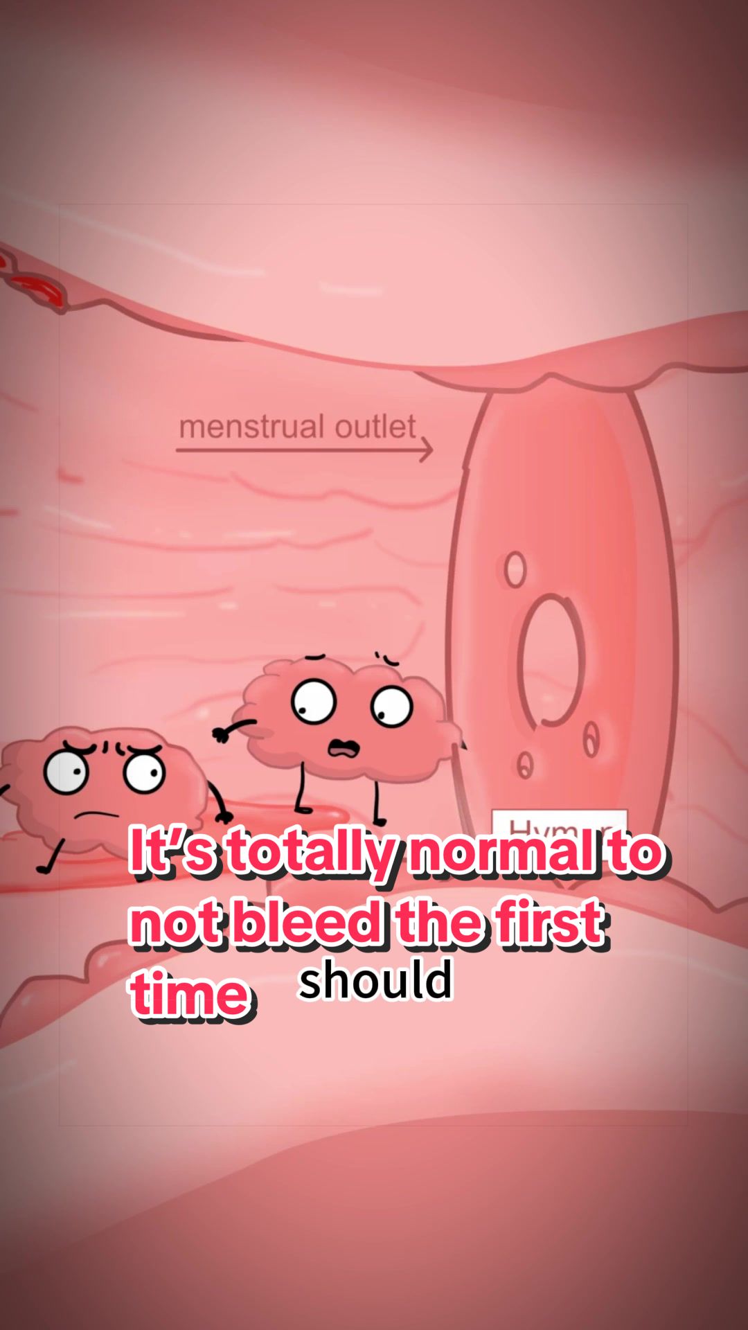 @Funny Animations