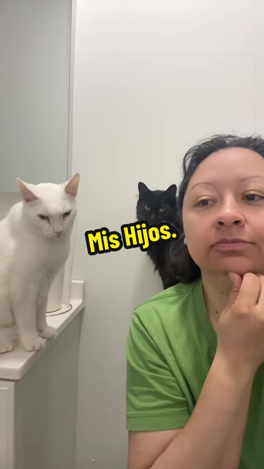 @🦖 MEOWassic CAT😺