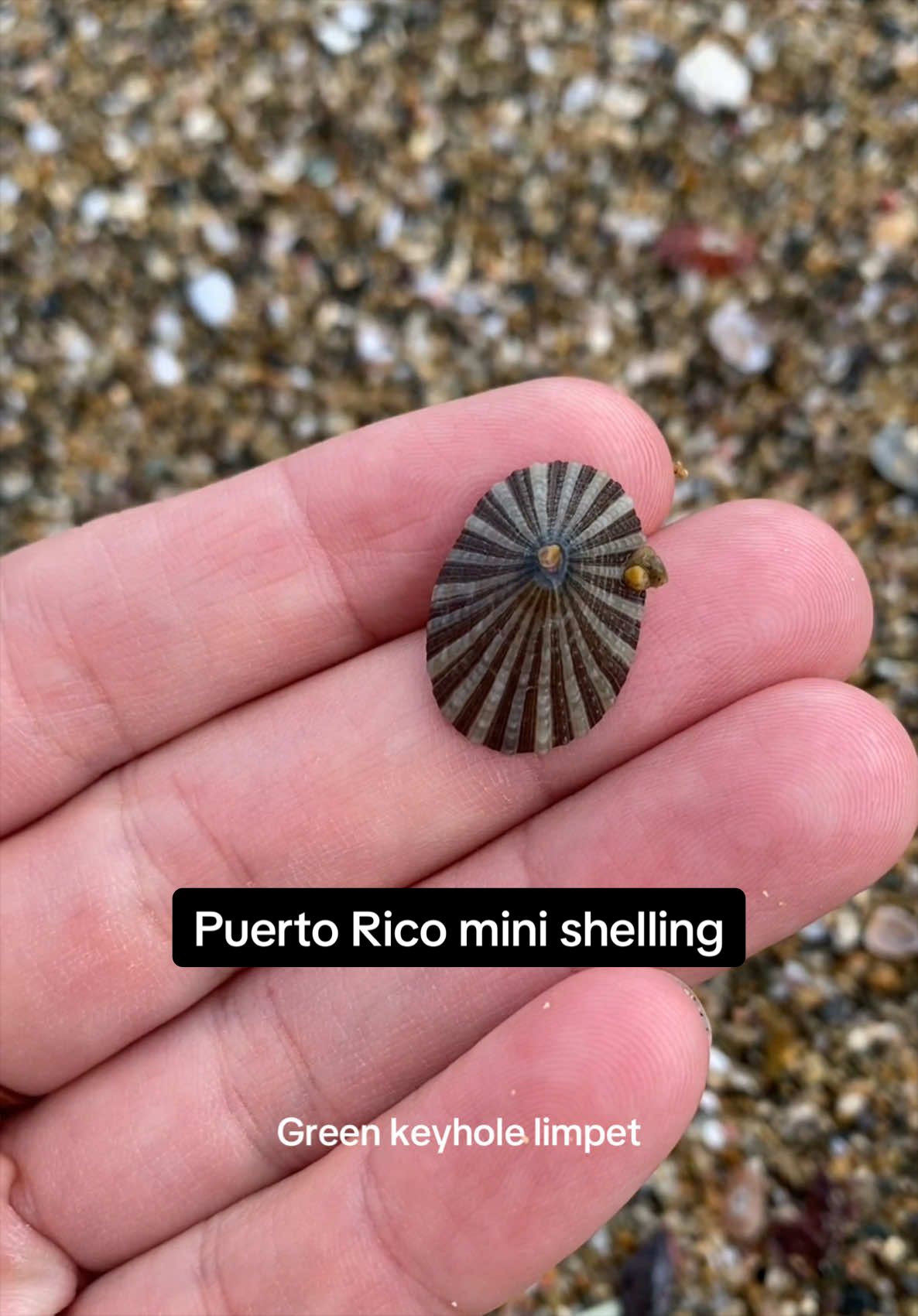 @🐚Jojo🌴
