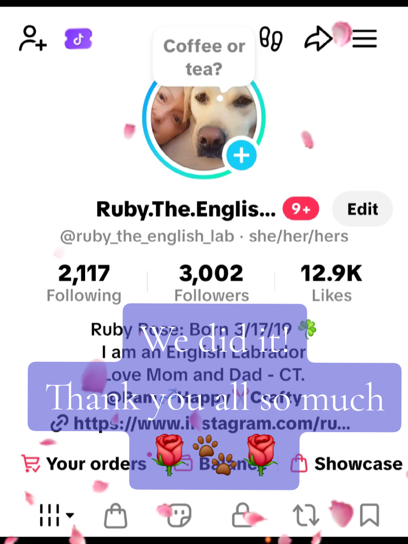 @Ruby.The.English.Labrador