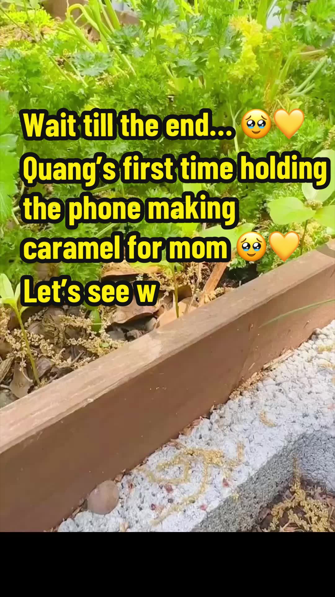 @Quang&Mom