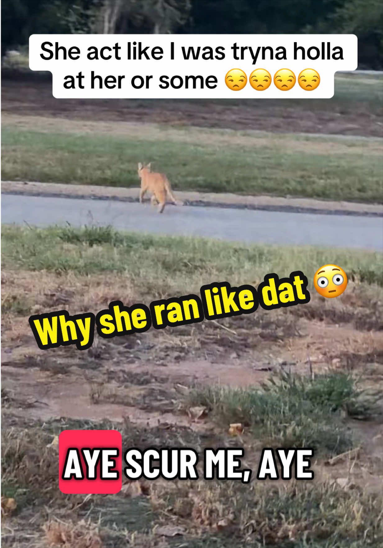@bossdvincii