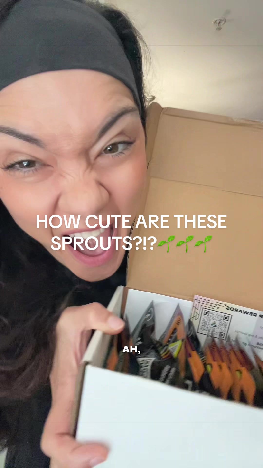 @Nicole Napoleone
