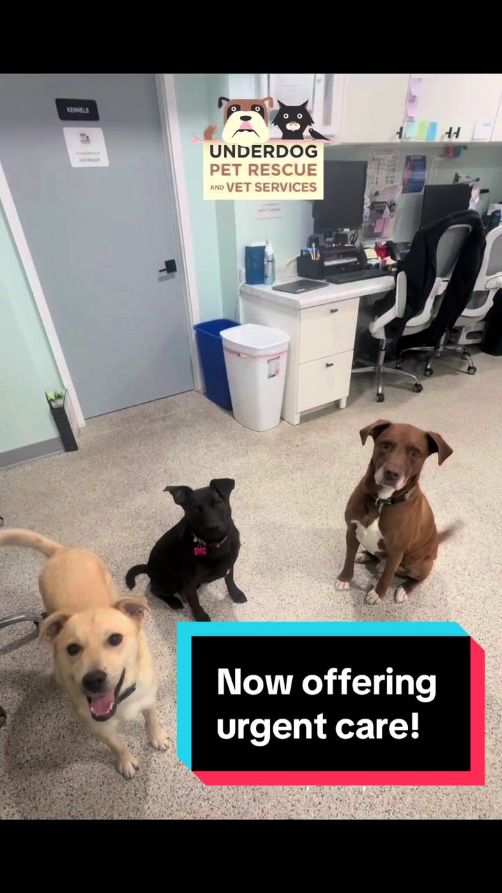 @Underdog Pet Rescue of WI