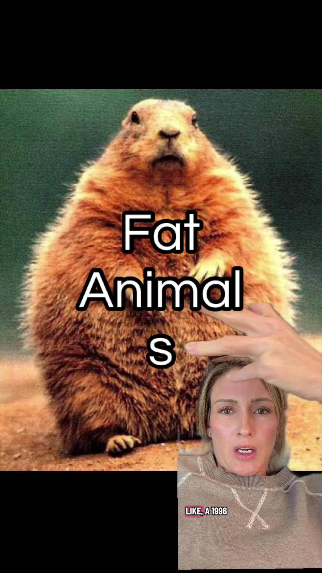 @SarahMakesMeLaugh