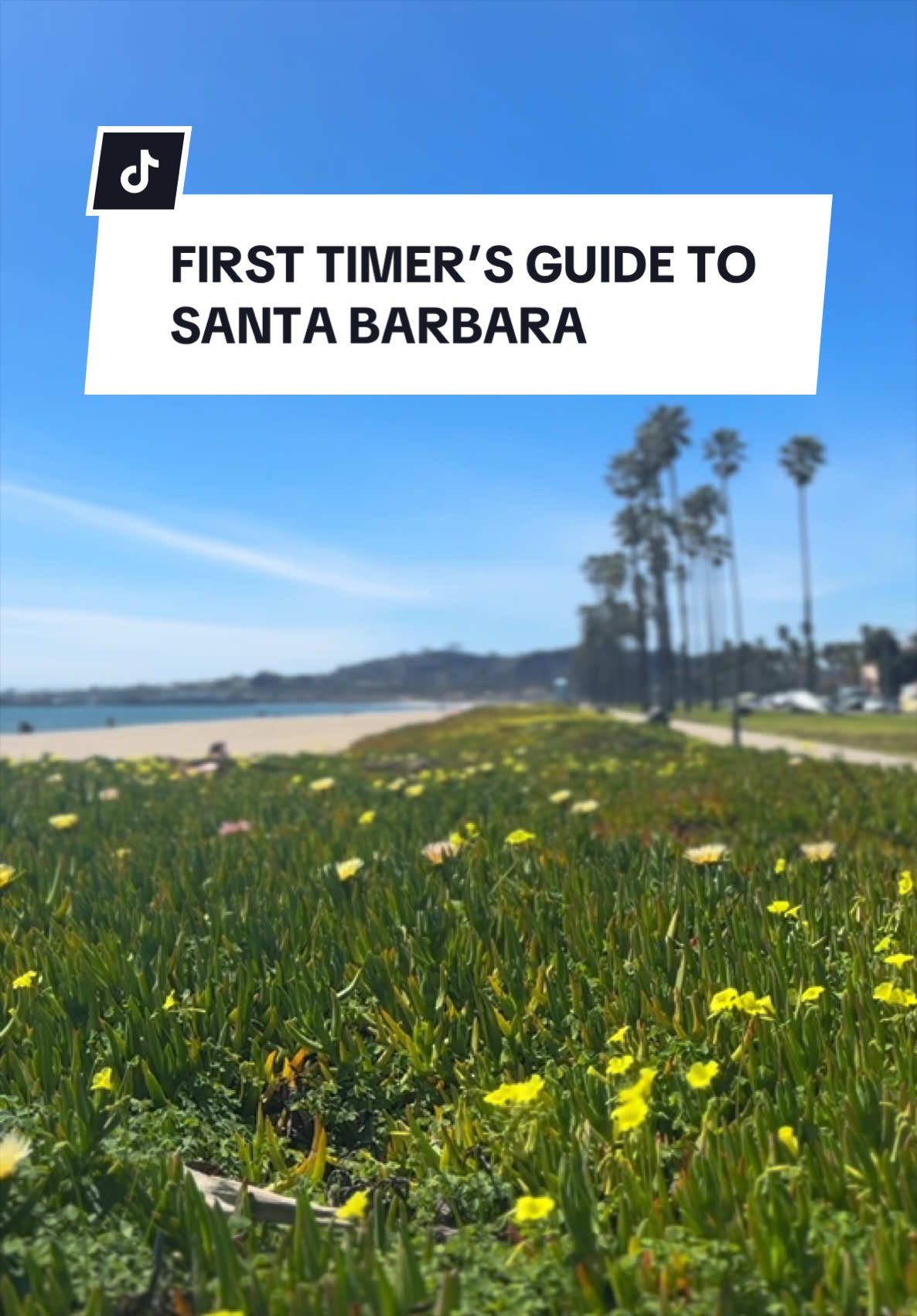 @Visit Santa Barbara