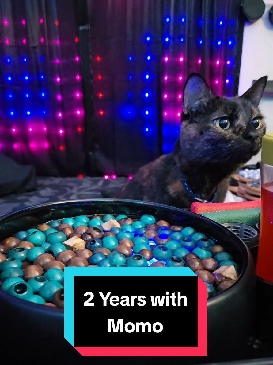 @Skai ASMR