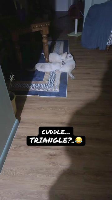 @Ani👸