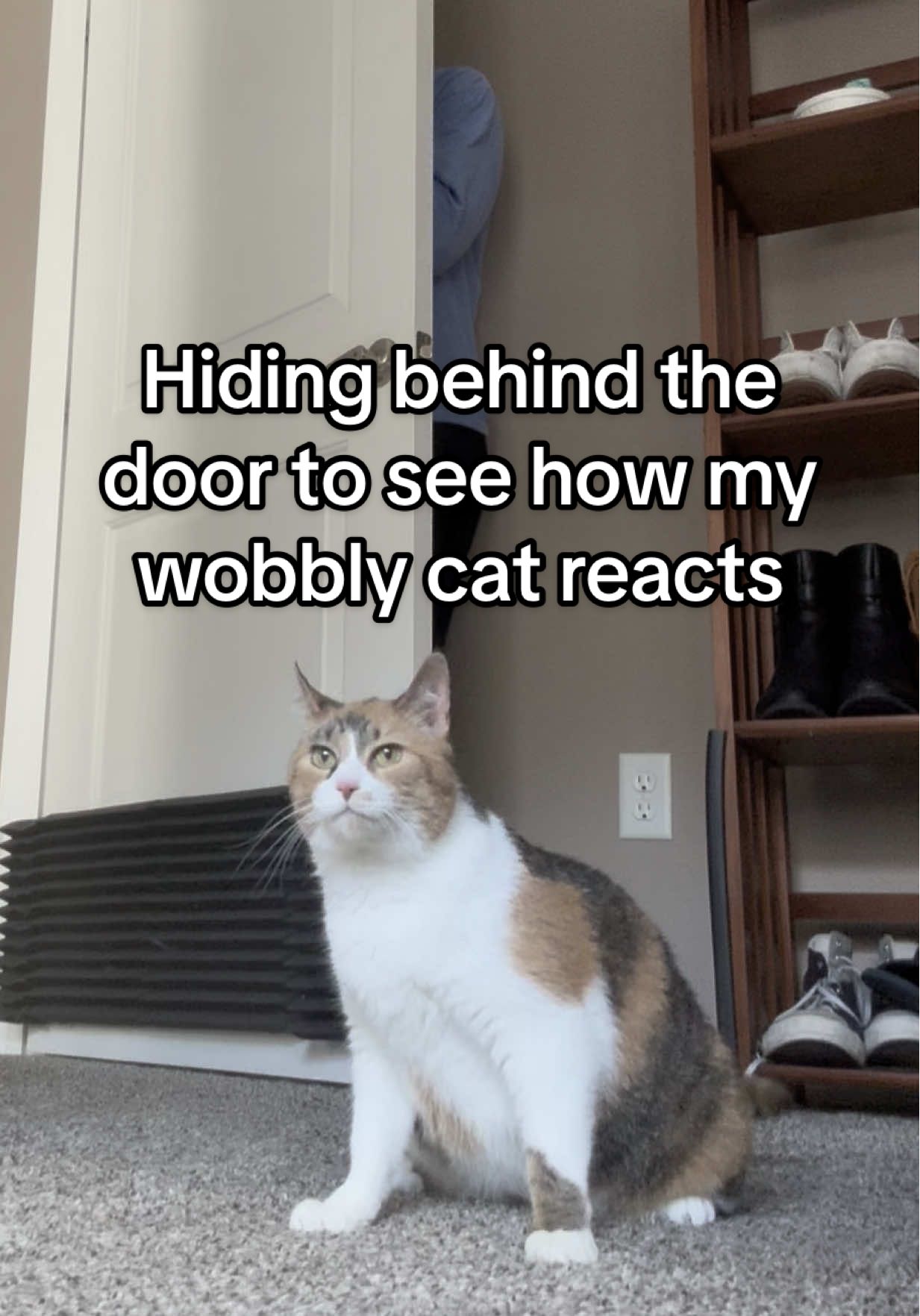 @Ada