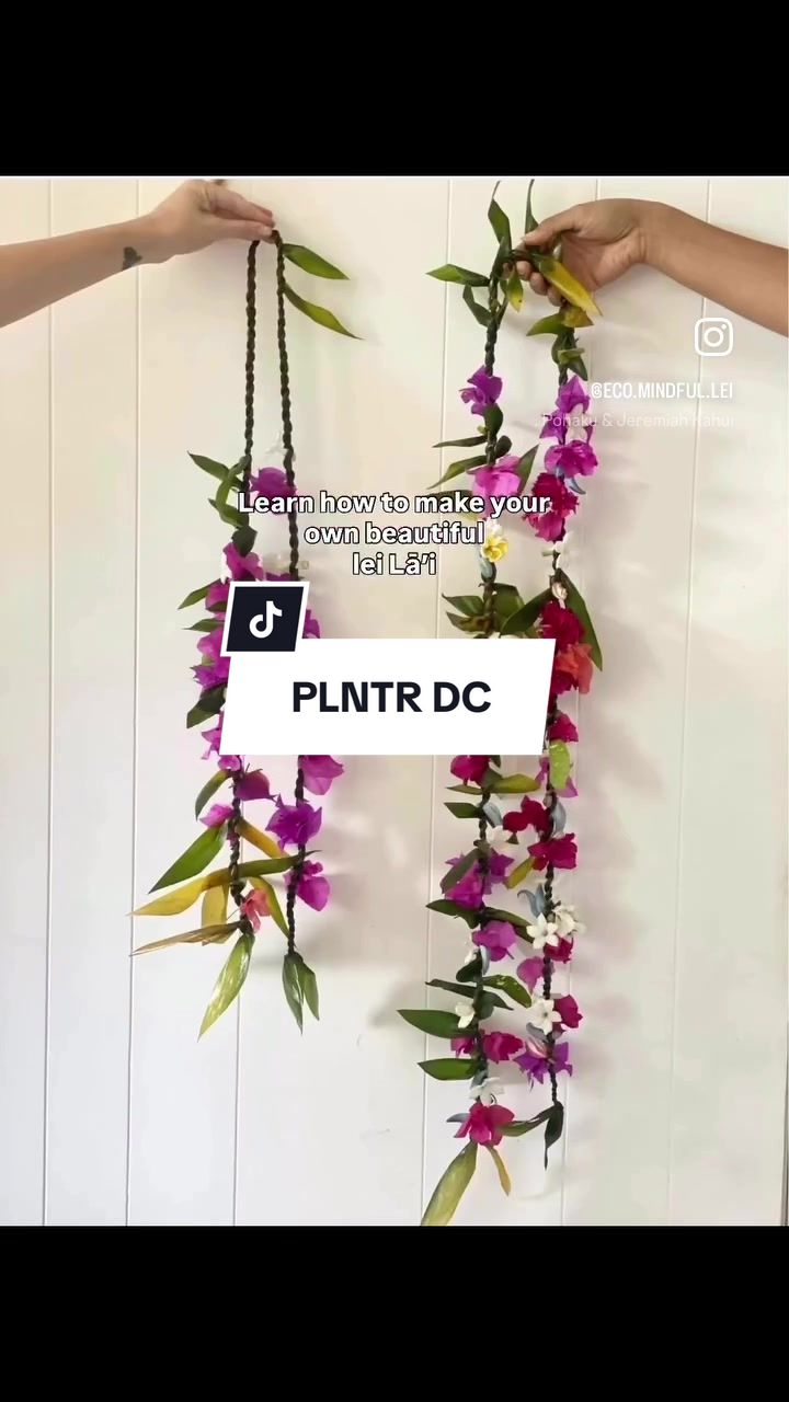 @eco.mindful.lei