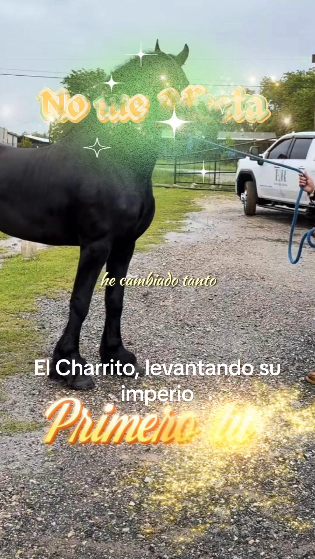 @Carlos2158martinez
