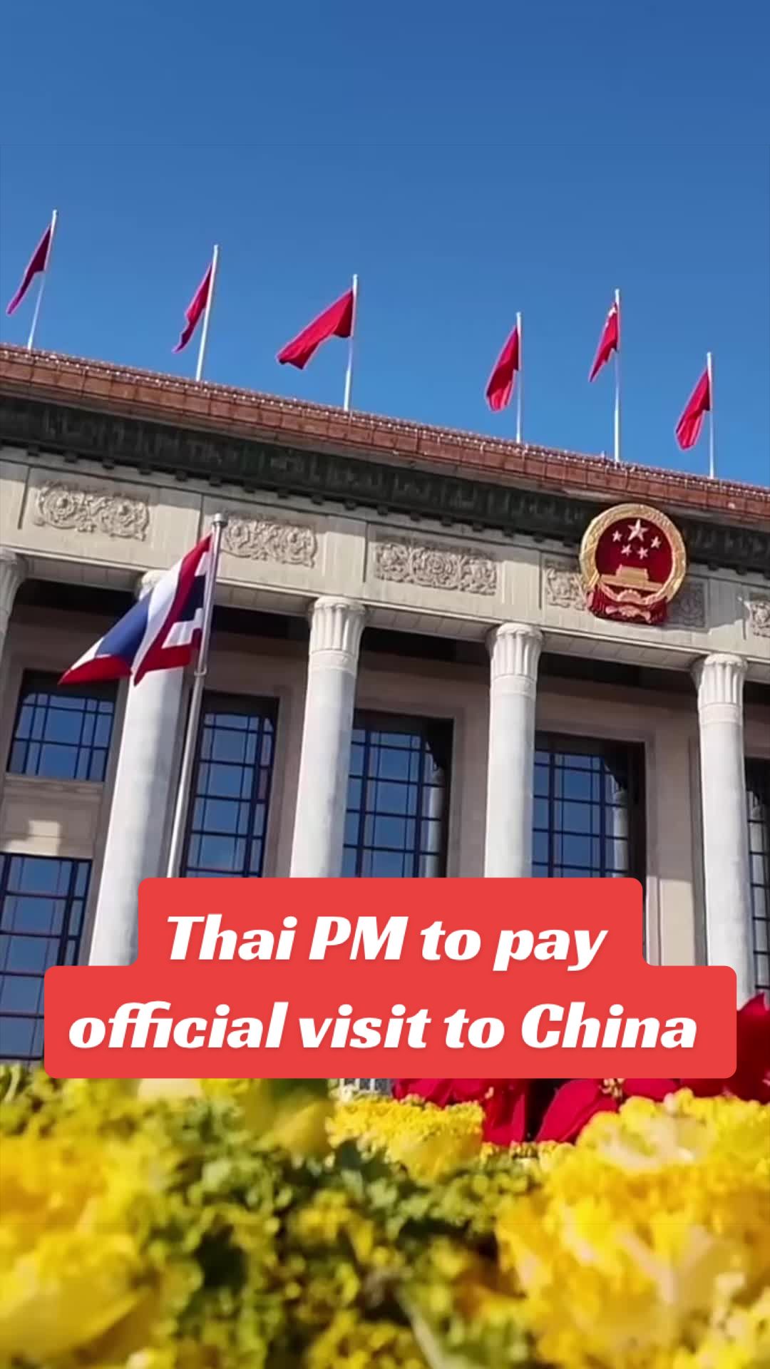 @China Vibe