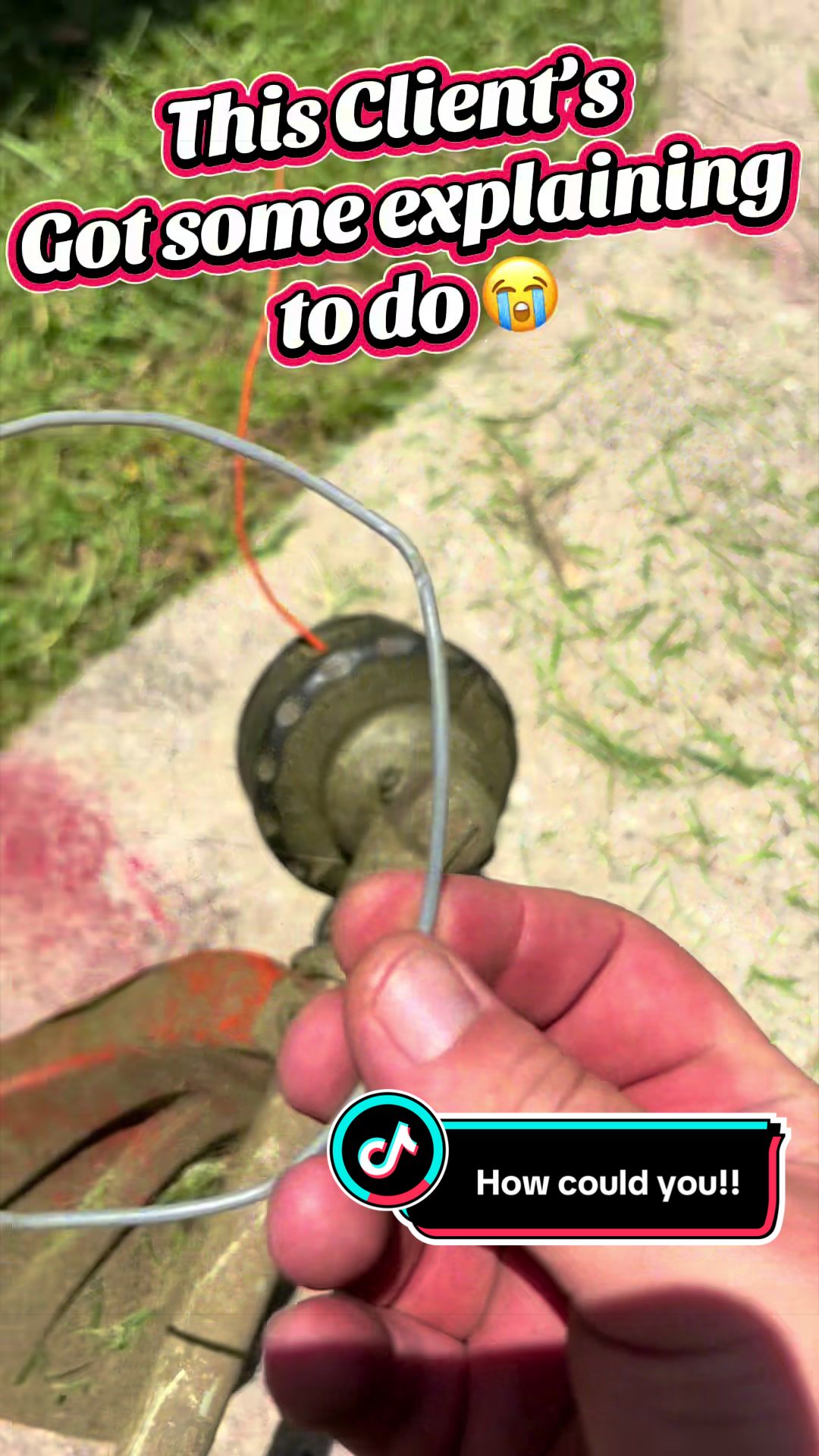 @MrLawnGuy