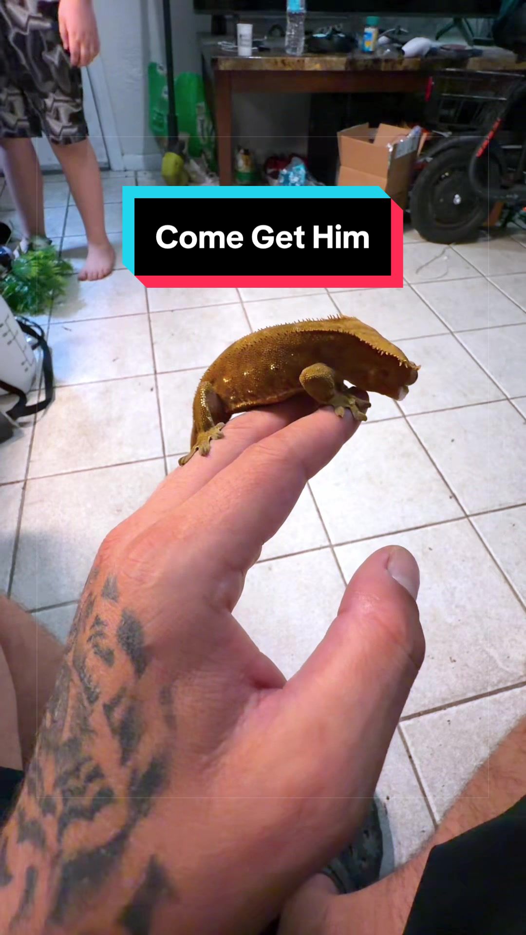 @HTL Exotics